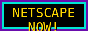 Netscape NOW!